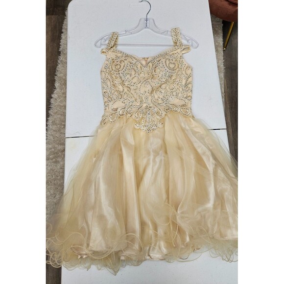 NWT Anny Lee Tan Sleeveless V Neck A Line Embroidered Zip Women's Dress Size S - Picture 1 of 14